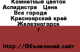 Комнатный цветок Аспидистра › Цена ­ 150 - Все города  »    . Красноярский край,Железногорск г.